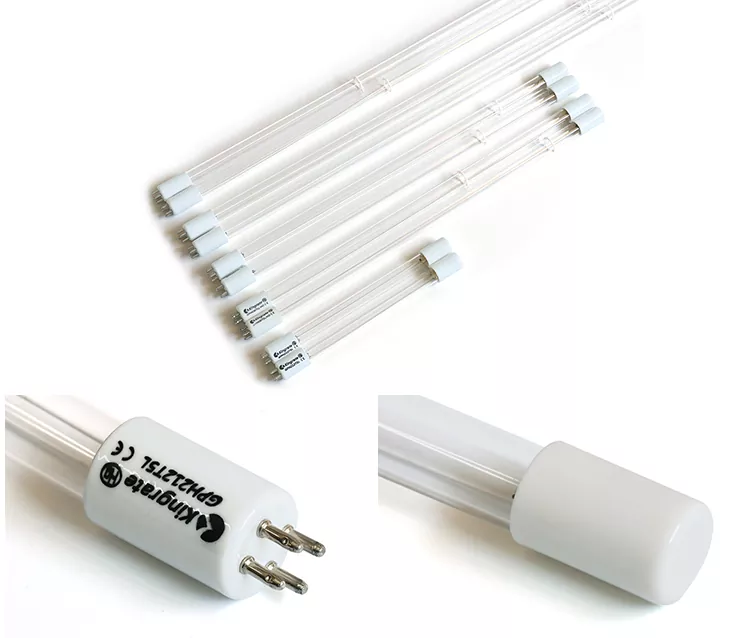 Standard 4P UV Lamp