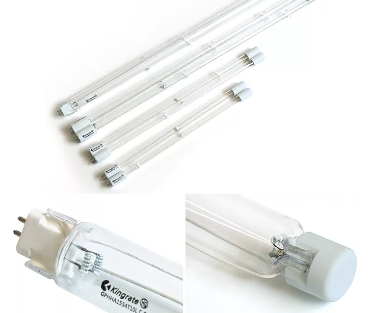 Amalgam UV Lamp