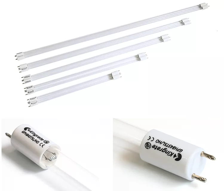 High Engergy Dual-Band UV Lamp