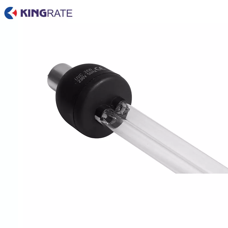 Self-ballasted Compact UV Lamp